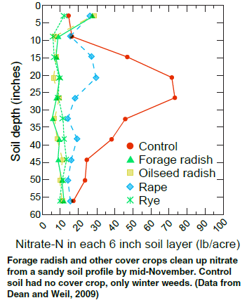 Figure 6 Scavenging of soil nitrate by radish