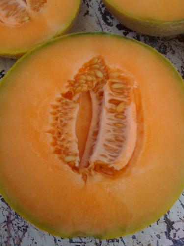 Delicious PMR Melon
