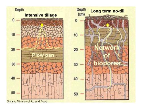 intensive-till versus no-till soil structure