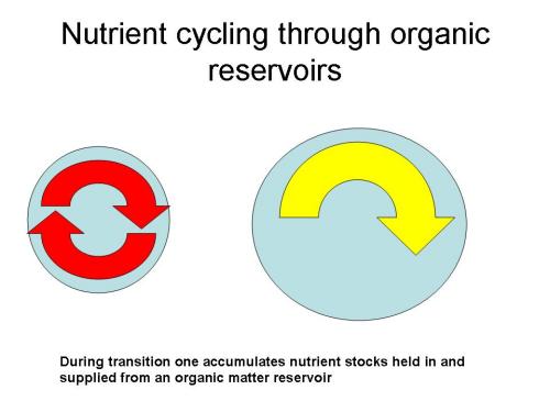This cartoon depicts idealized changes that occur where fast mineral nutrient cycling (depicted by red arrows) in depleted organic reservoirs (depicted by blue sphere) is altered by improved management to result in slower cycling rates (yellow arrow) within an enlarged reservoir. 