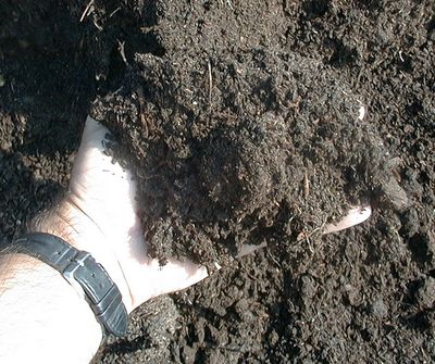 Finished compost in hand. Photo credit: Ed Zaborski, Univerity of Illinois.