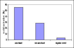 This graph demonstrates the biological nature of disease suppressiveness of field soils. The information in this graph was gathered in a greenhouse bioassay in which soil from field plots undergoing transition to organic production was inoculated with the sudden death syndrome pathogen, a disease of soybeans. That soil was then planted with a susceptible variety of soybean and evaluated it for symptom development, in this case, percent root discoloration as a result of infection. When the soil was autoclaved or sterilized and then inoculated, there was a relatively high level of root discoloration. In soils that were not autoclaved and therefore contained the microorganisms that were present in the field, there was a much lower level of root discoloration, a much lower level of disease. As expected, in the negative control, where no pathogen was added to the soil, we saw very little root discoloration. This shows that if soil is autoclaved or sterilized, destroying the soil's microorganisms, the amount of disease that develops goes up. If those microorganisms are present, as is the case in the non-autoclaved soil, then the amount of disease that develops is suppressed.