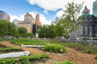 USDANRCS Community Garden in a City