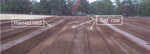 Field preparation raised and flat beds.